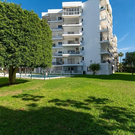 Lovely First Line With Seaviews Rdr452 *